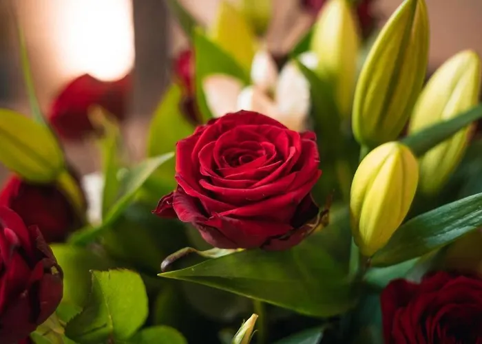 Apartment Le Calypso Jolie T2 Centre De